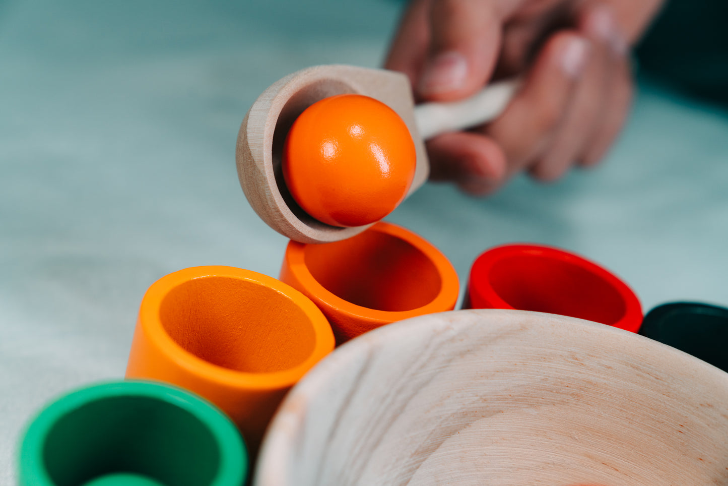 Holzspielzeug Farbsortierset für Kinder, Förderung von Geschicklichkeit und Farben